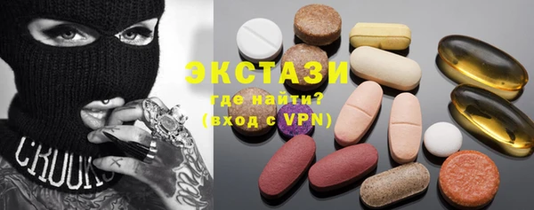 ECSTASY Богородицк