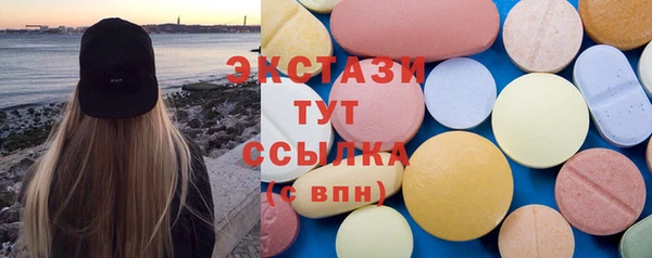 ECSTASY Богородицк