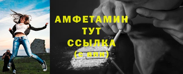 ECSTASY Богородицк